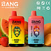 Bang Leader 45k Puffs multiple flavor variants disposable vape product lineup