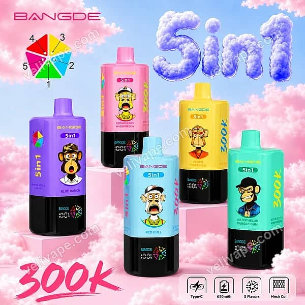 Bang DE 300K 5-in-1 disposable vape with 300000 puffs, rotating flavor selector, Smart LED display, five 20mL pods, and Mesh Coil