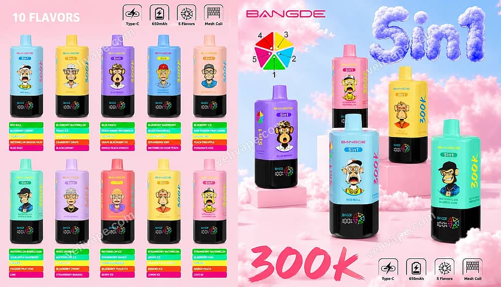 Bangde 5In1 300K Puffs Disposable Vape Product Lineup With A 5 In 1 Flavor Design